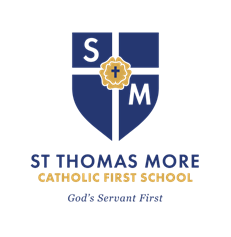 STM with Mission Logo