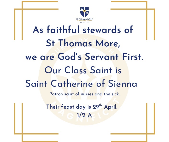 St catherine of siena website